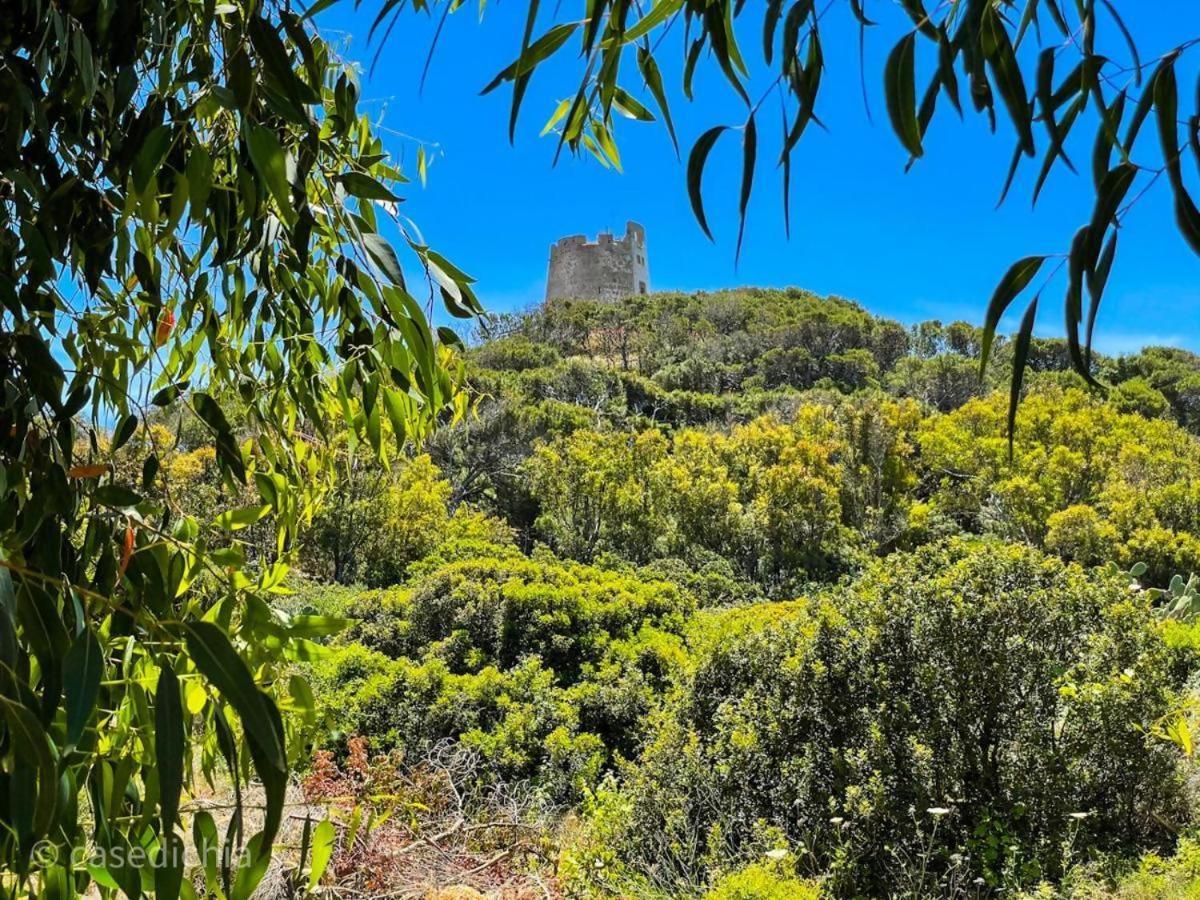 Torre Di Chia Holiday Home エクステリア 写真