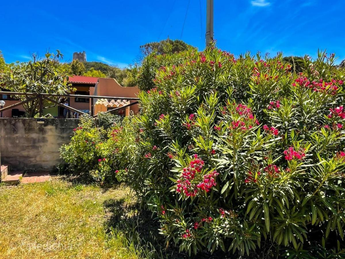 Torre Di Chia Holiday Home エクステリア 写真